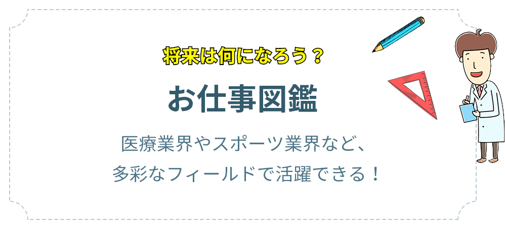 お仕事図鑑 医療業界やスポーツ業界など、多彩なフィールドで活躍できる！